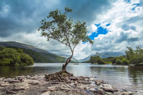 Snowdonia