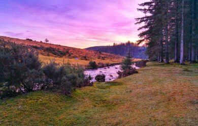 Dartmoor
