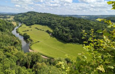 Forest of Dean