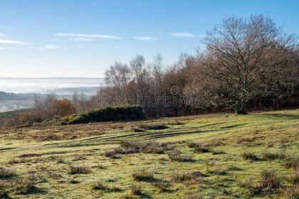 Ashdown Forest