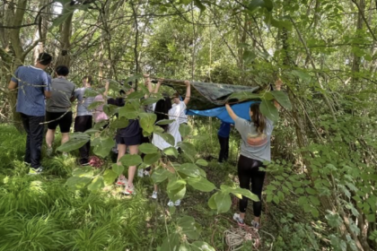The Wilderness Experience