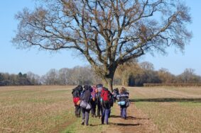 The DofE Season is here!
